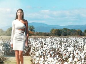 Fashion Events Video
